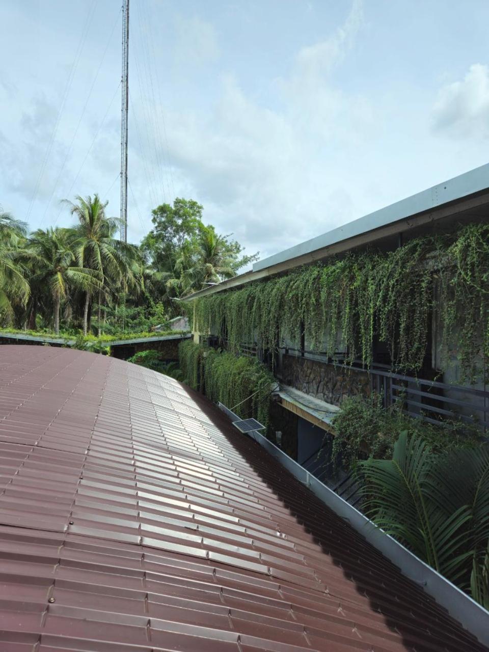 Homestay Bao Binh Ben Tre Eksteriør billede