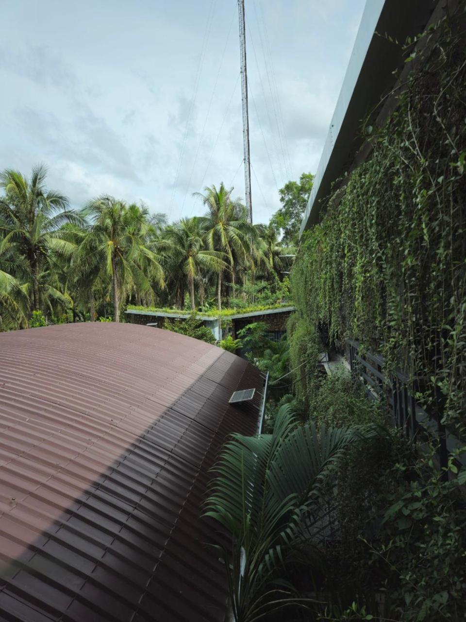 Homestay Bao Binh Ben Tre Eksteriør billede