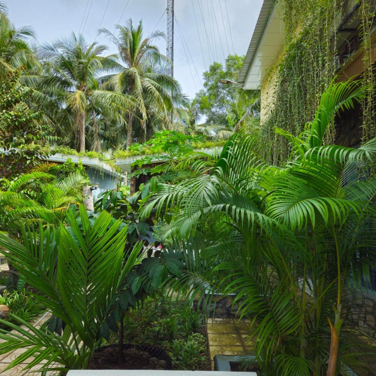 Homestay Bao Binh Ben Tre Eksteriør billede
