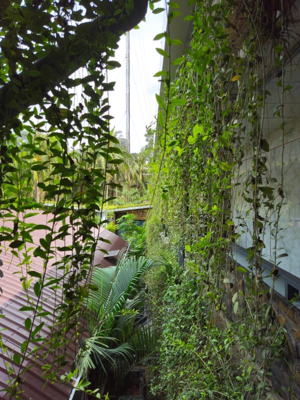 Homestay Bao Binh Ben Tre Eksteriør billede