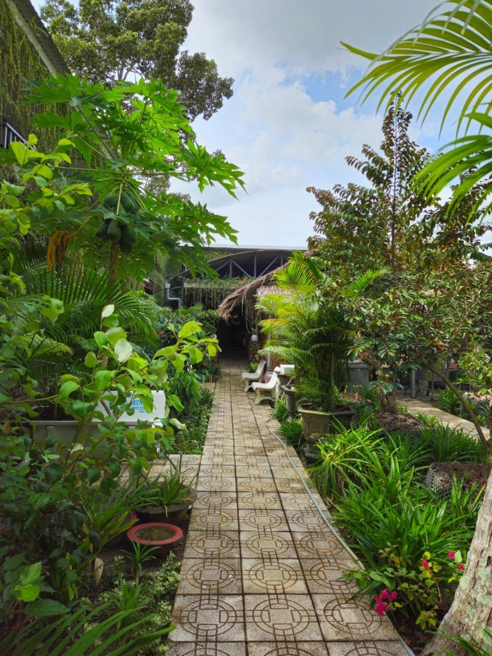 Homestay Bao Binh Ben Tre Eksteriør billede